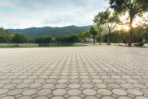 Best Professional Driveway Pavers  in South Fallsburg, NY